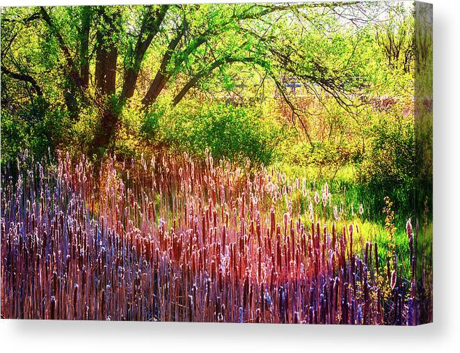 Sunny Morning Canvas Print featuring the photograph Sunny morning in the park by Tatiana Travelways