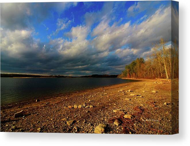 Landscape Canvas Print featuring the photograph Sunny Shore by Mary Walchuck
