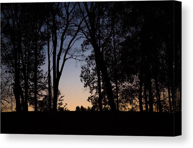 Photo Canvas Print featuring the photograph Sunset at the Park by Evan Foster