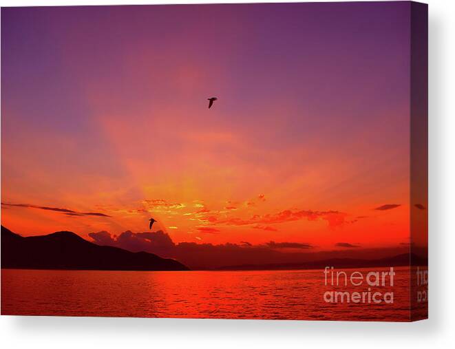 Harmony Canvas Print featuring the photograph Sunset Dreaming by Leonida Arte