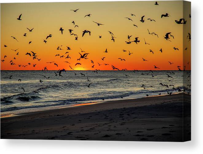 Sunset Canvas Print featuring the photograph Sunset Frenzy by Cate Franklyn