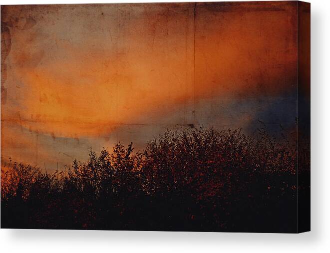 Land Canvas Print featuring the photograph Sunset light by Yasmina Baggili