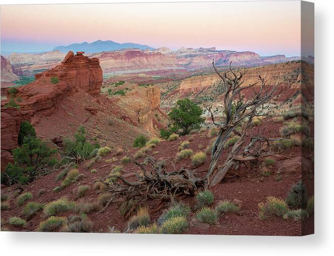 Utah Canvas Print featuring the photograph Sunset on Capitol Reef by Aaron Spong