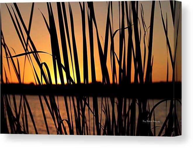 Sunset Canvas Print featuring the photograph Sunset Through the Reeds by Mary Walchuck