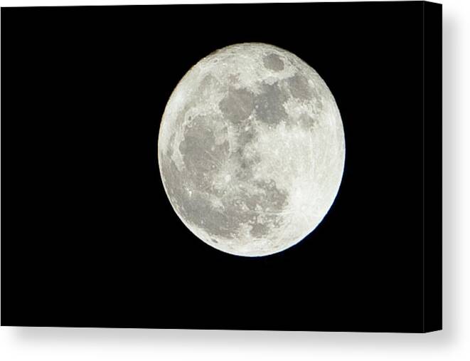 Super Moon Canvas Print featuring the photograph Super Moon_031911 by Rocco Leone
