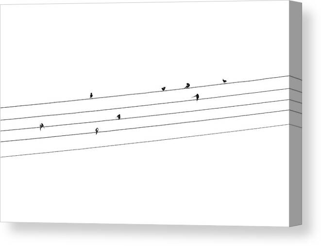 Swallow Canvas Print featuring the photograph Swallow sheet music by Viktor Wallon-Hars