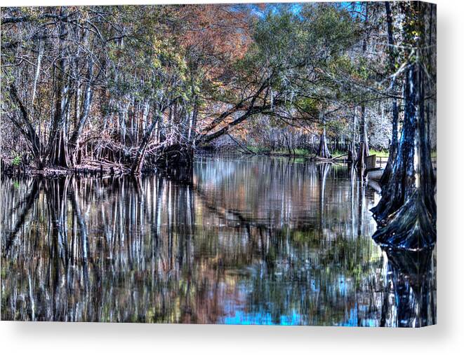 Swamp Canvas Print featuring the photograph Florida Swamp Reflections 1 by Debra Kewley