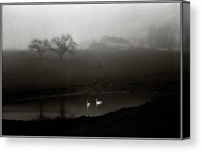 Swan Canvas Print featuring the photograph Swans on Scamman Pond by Wayne King