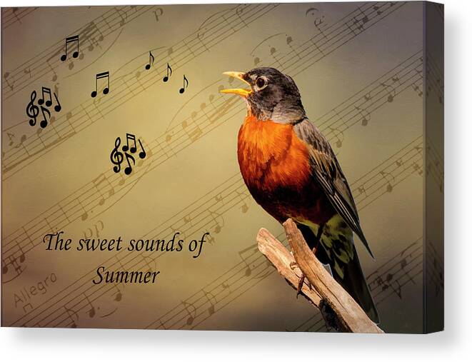 Bird Canvas Print featuring the photograph Sweet Sounds of Summer by Cathy Kovarik