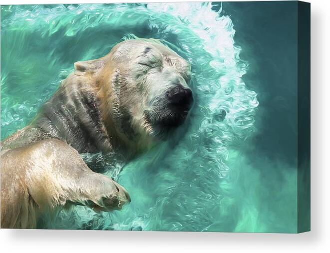 2019 Canvas Print featuring the photograph Swimming Bear by Wade Brooks