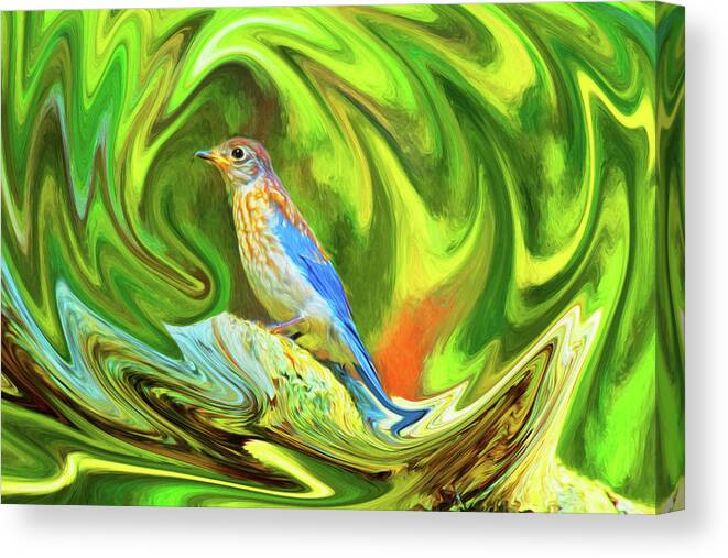 Abstract Canvas Print featuring the photograph Swirling Bluebird by Kay Brewer