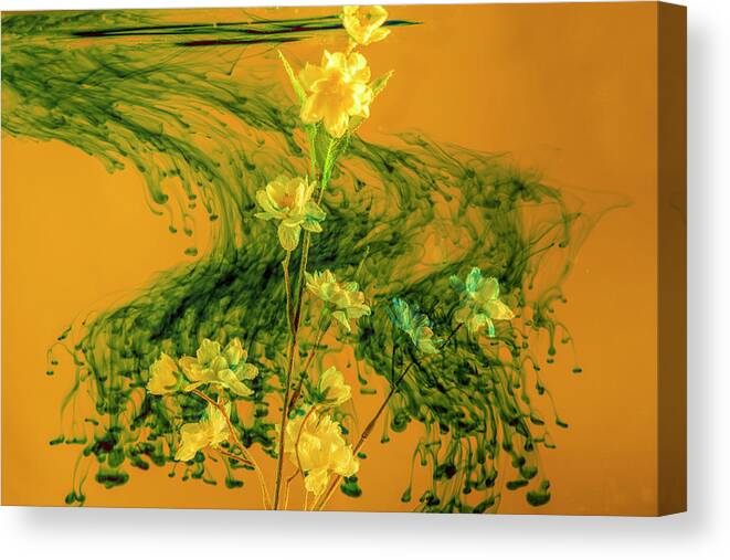 Flowers Canvas Print featuring the photograph Swirling green cloud surrounding yellow flowers by Dan Friend