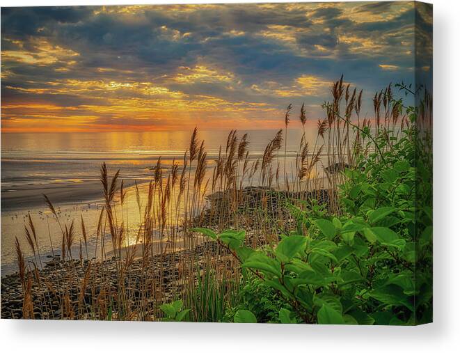 Reeds Canvas Print featuring the photograph Tall Grasses of Marginal Way by Penny Polakoff