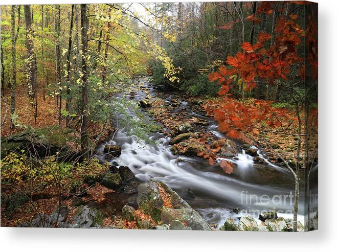 Tellico River Canvas Print featuring the photograph Tellico Fall by Rick Lipscomb