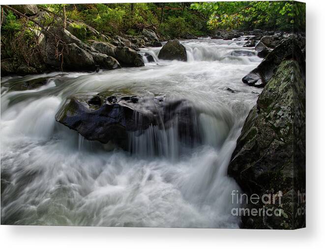 Adventure Canvas Print featuring the photograph Tellico River 4 by Phil Perkins