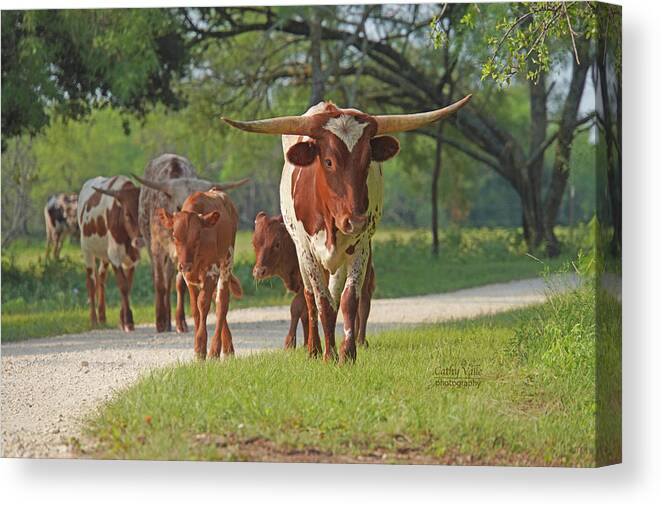 Texas Canvas Print featuring the photograph Texas longhorn print combo - 1 - Jewels by Cathy Valle
