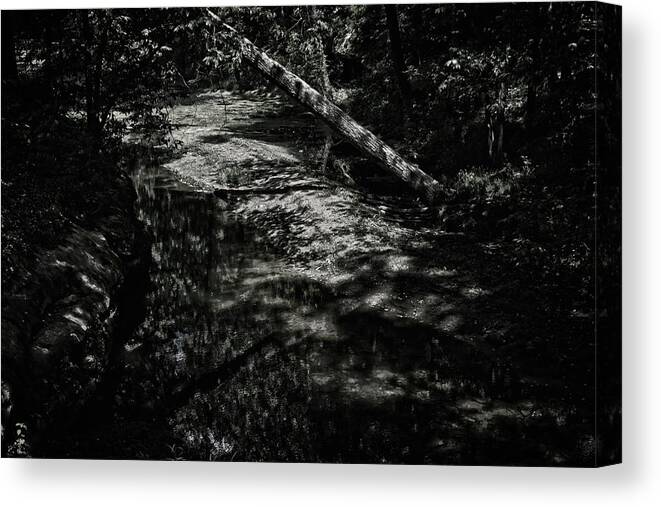 Alabama Canvas Print featuring the photograph Textures in the Woods by George Taylor