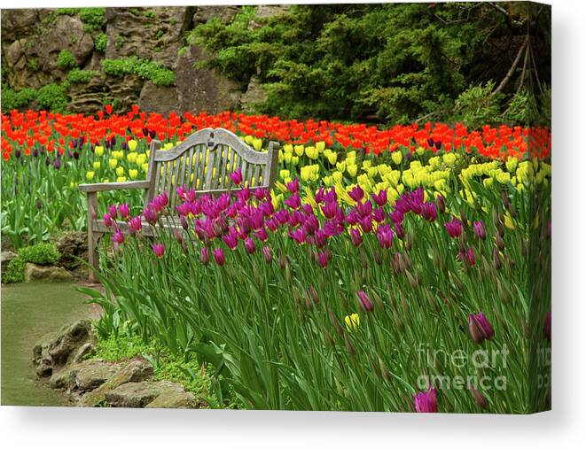 Flowers Canvas Print featuring the photograph That Spring Day by Marilyn Cornwell