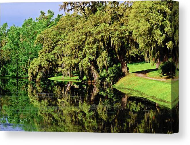 Ashley River Canvas Print featuring the photograph The Ashley River by Louis Dallara