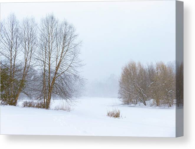 Blizzard Canvas Print featuring the photograph The Beginning of a Winter Adventure by Auden Johnson