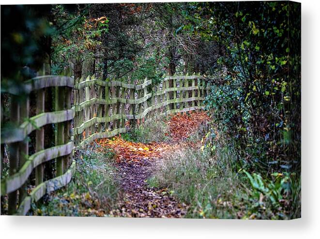  Canvas Print featuring the photograph Autumn Colours Ireland #2 by Sublime Ireland