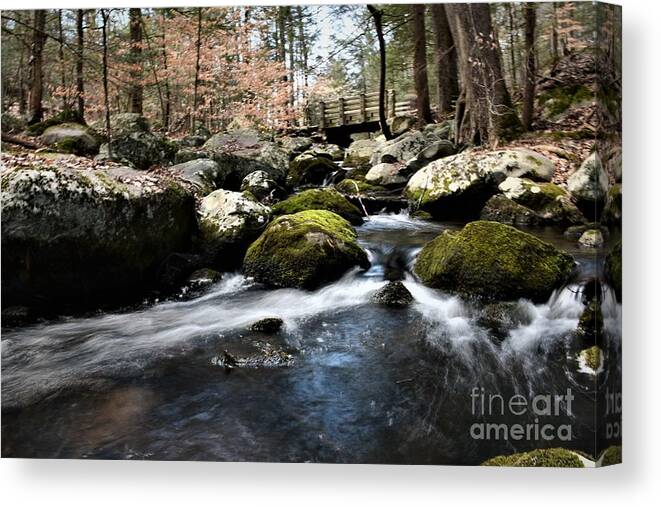 Waterfall Canvas Print featuring the photograph The Bridge Beyond by Leslie M Browning