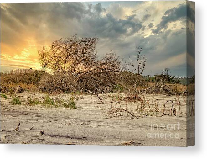 Scenic Canvas Print featuring the photograph The Burning Bush by Kathy Baccari