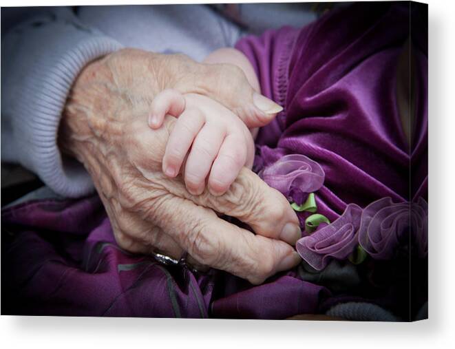 Hands Canvas Print featuring the photograph The Circle of Life by Monroe Payne