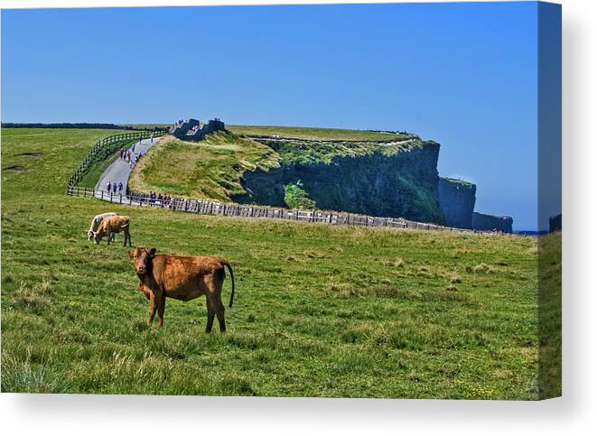 Ireland Canvas Print featuring the photograph The Cliffs of Moher by Edward Shmunes