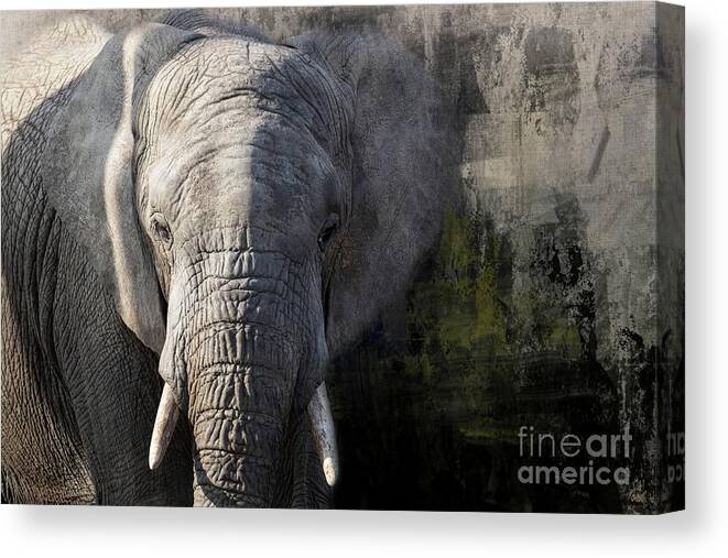 African Elephant Canvas Print featuring the photograph The Elephant by Eva Lechner