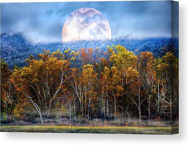Cades Canvas Print featuring the photograph The Forest Awaits Under the Fall Moon by Debra and Dave Vanderlaan