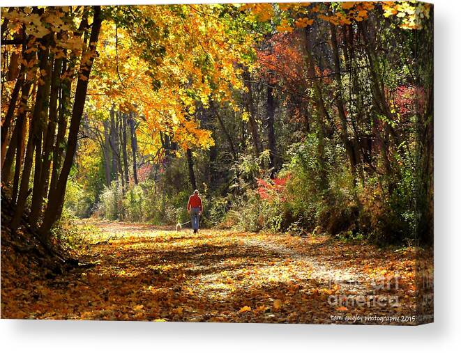 Autumn Canvas Print featuring the photograph The Gilding by Tami Quigley