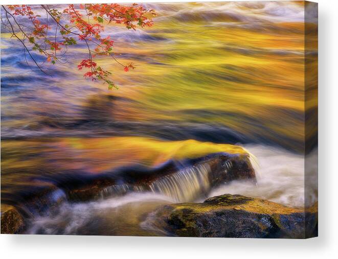 River Canvas Print featuring the photograph The Golden Flow by Henry w Liu