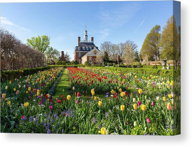 Colonial Williamsburg Canvas Print featuring the photograph The Governor's Palace in Spring by Rachel Morrison