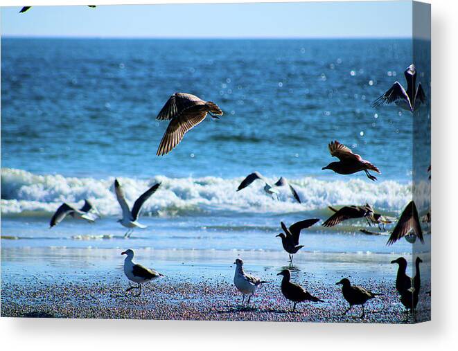 Birds Canvas Print featuring the photograph The Grace of the Flock by Marcus Jones