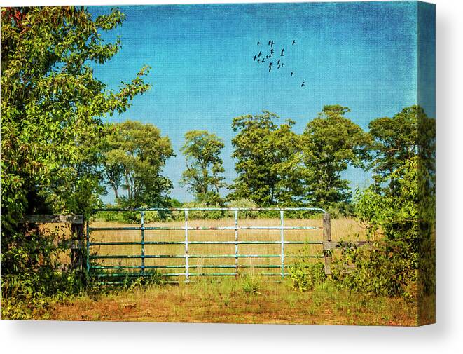 Gate Canvas Print featuring the photograph The Iron Gate 8622 by Cathy Kovarik