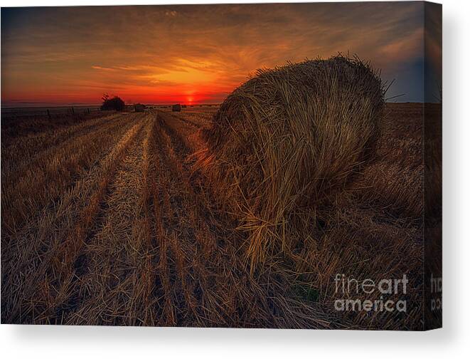 Canada Canvas Print featuring the photograph The Light Field by Ian McGregor