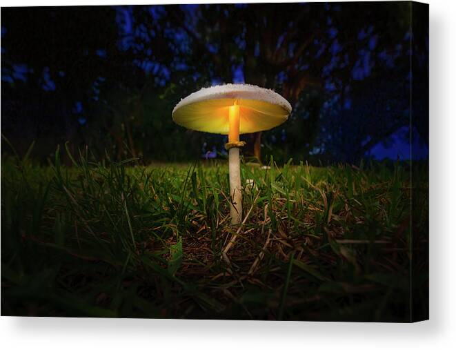 Mushroom Canvas Print featuring the photograph The Magic Mushroom by Mark Andrew Thomas