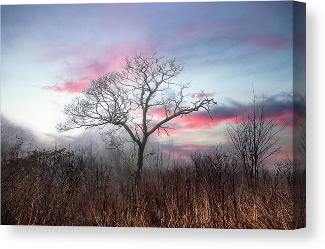 Andrews Canvas Print featuring the photograph The Magic of Sunset by Debra and Dave Vanderlaan