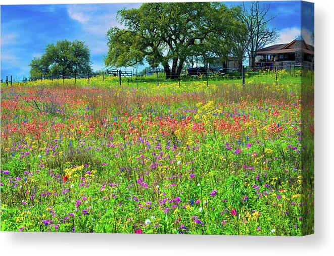 Texas Wildflowers Canvas Print featuring the photograph The Many Colors of Spring by Lynn Bauer