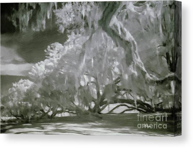 Oaks Canvas Print featuring the mixed media The Mighty Live Oak by DB Hayes
