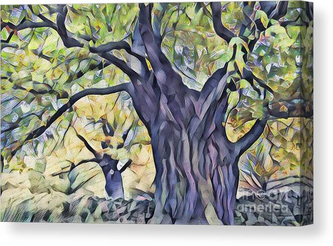 Trees Canvas Print featuring the photograph The Mighty Oak Tree by Philip Preston