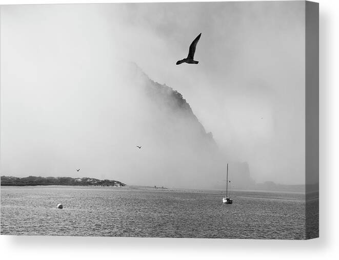Morro Rock Canvas Print featuring the photograph The Mist by Gina Cinardo