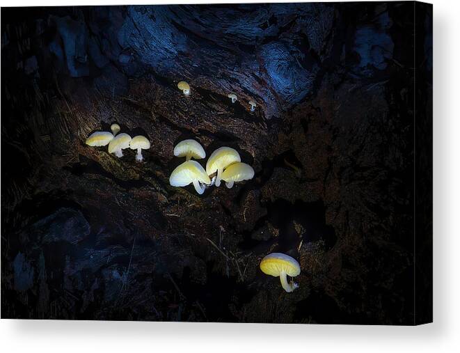 Mushroom Canvas Print featuring the photograph The Mushroom Cave by Mark Andrew Thomas