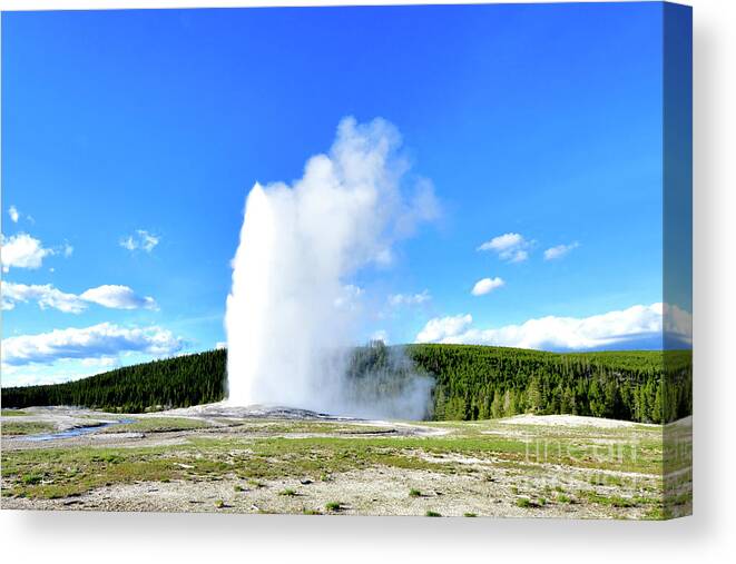 Geyser Canvas Print featuring the photograph The Old Faithful Geyser by Amazing Action Photo Video