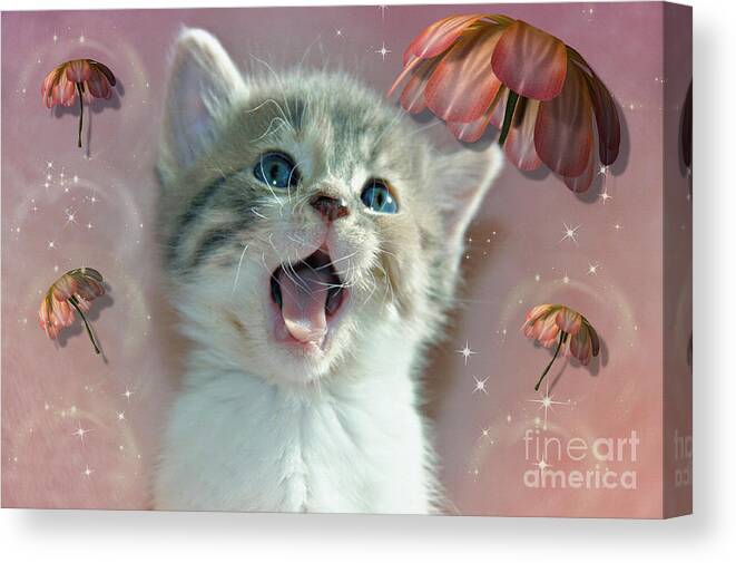 Kitten Canvas Print featuring the mixed media The Opera Singer by Elaine Manley