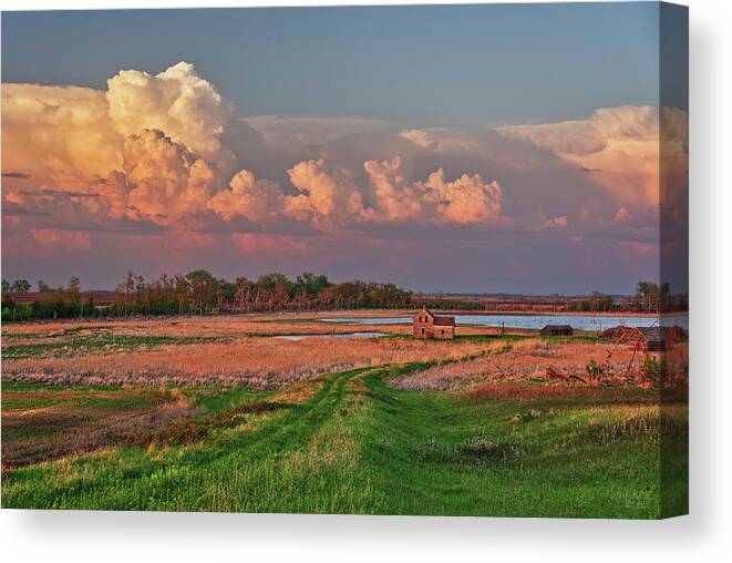 Stensby Canvas Print featuring the photograph The Path Home - series - Stensby farm homestead in Benson County ND by Peter Herman