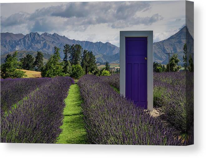 Beautiful Canvas Print featuring the photograph The purple door on the Lavender Farm in Wanaka with the mountains in the background by Anges Van der Logt