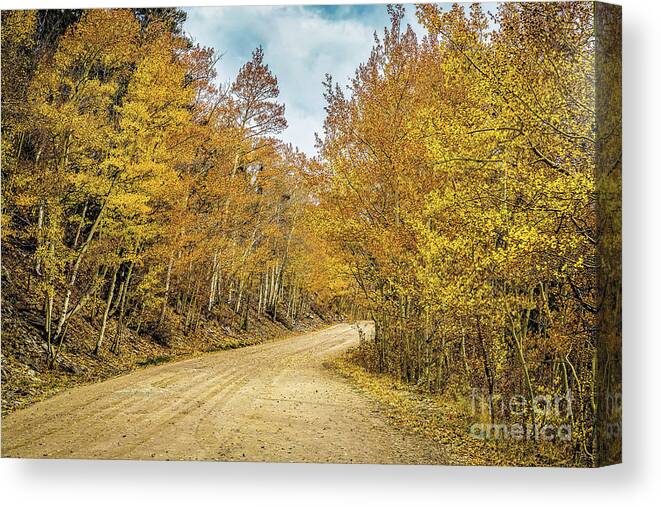 Jon Burch Canvas Print featuring the photograph The Road Less Traveled by Jon Burch Photography
