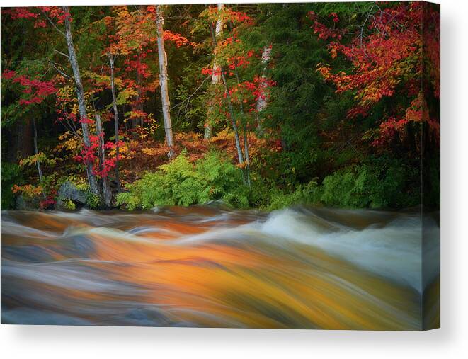 Autum Canvas Print featuring the photograph The Season's Rythem by Henry w Liu